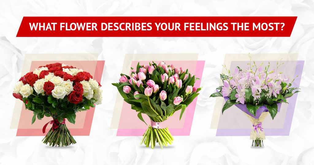 what-flower-describes-your-feelings-the-most