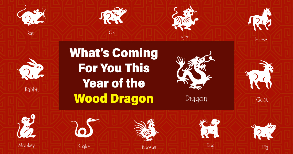 Wood Dragon 2024 Zodiac Predictions See What's Coming for You